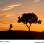 Huawei Mate80 Pro Picture Samples Shared by Company CEO